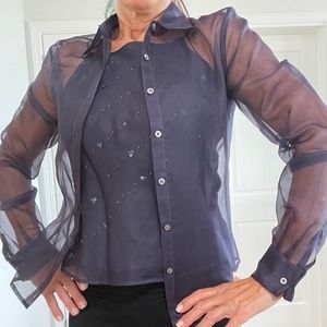 Silk Sheer Blouse and Cami